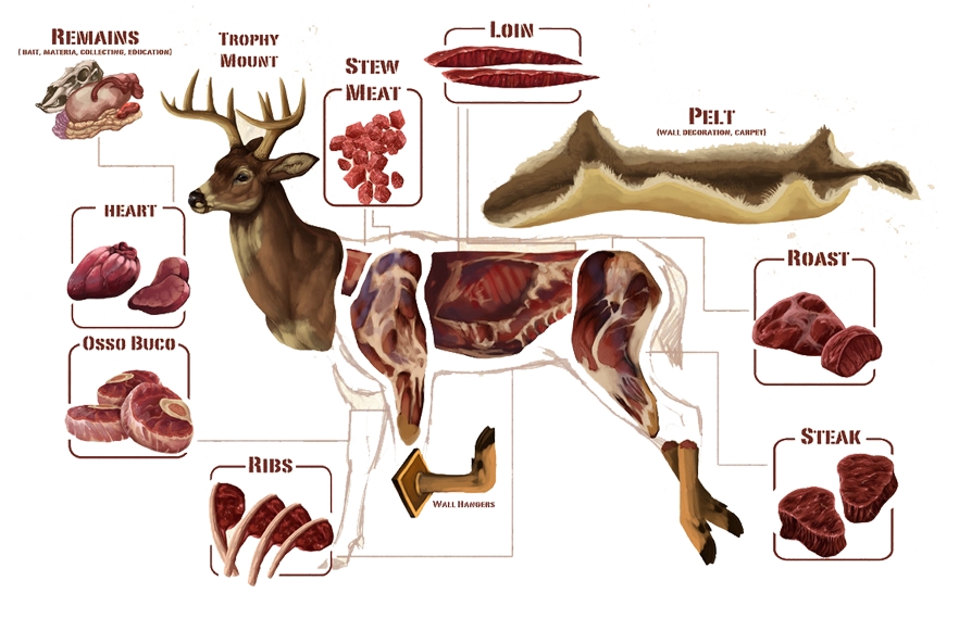 Deer Parts